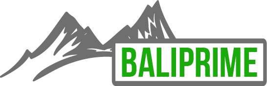 bali prime visa logo
